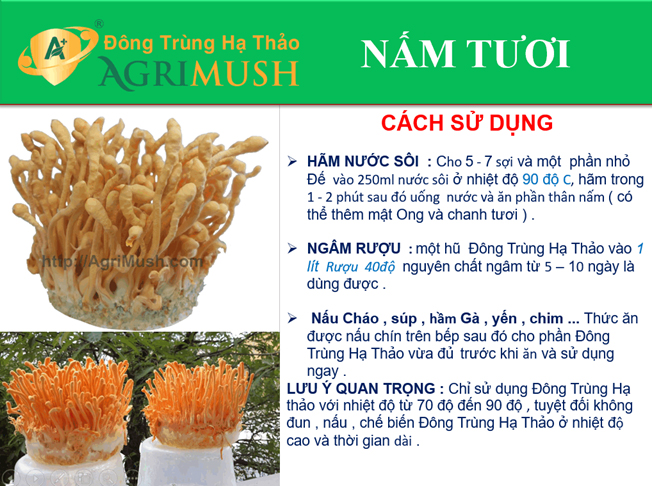 /data/product/NamTuoi/nam-dong-trung-ha-thao-tuoict.jpg